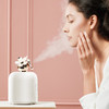 古姿热喷蒸脸器，每天蒸一蒸，皮肤那叫一个水润【GUZI】 商品缩略图1
