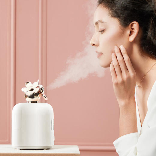 古姿热喷蒸脸器，每天蒸一蒸，皮肤那叫一个水润【GUZI】 商品图1