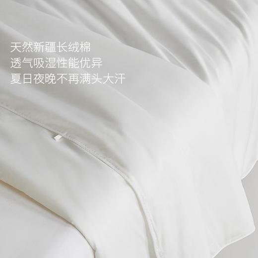 【秋冬换新 新疆直发】新疆长绒棉胎棉被多种规格尺寸 商品图3