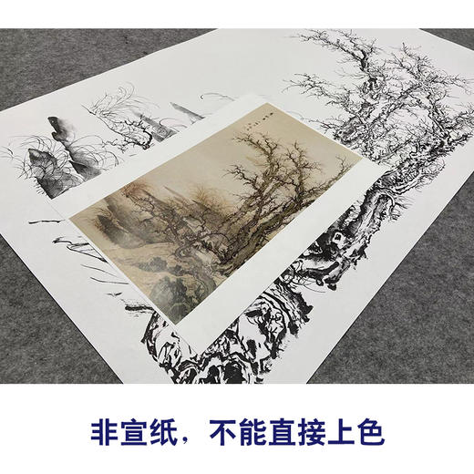 陈少梅竖幅工笔山水白描底稿《寒林图》-多种白描尺寸可选-SV11 商品图2