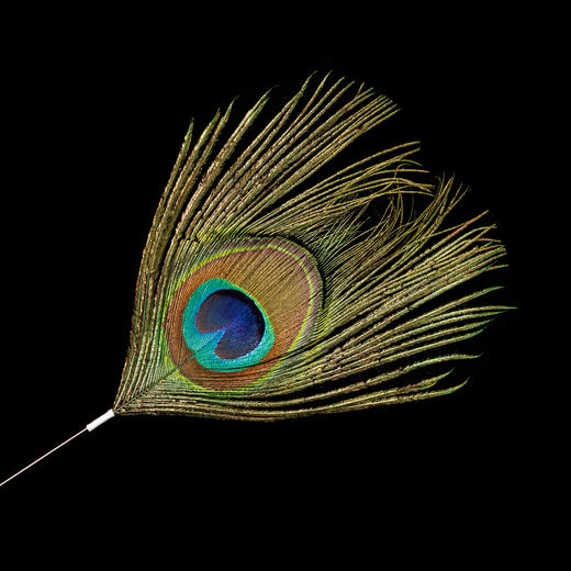 纯天然孔雀毛采耳工具单支纯手工放松毛毛配合振子安抚睡眠SPA 商品图2