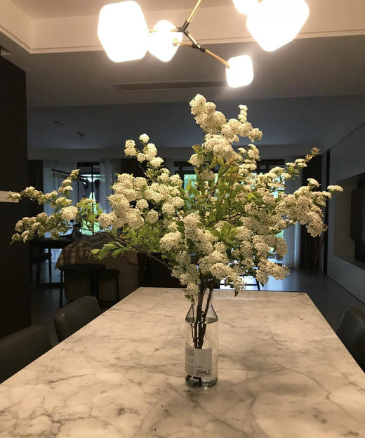 【春日仙子】小手球花 约1.2米 单瓣  若干枝/扎 商品图0