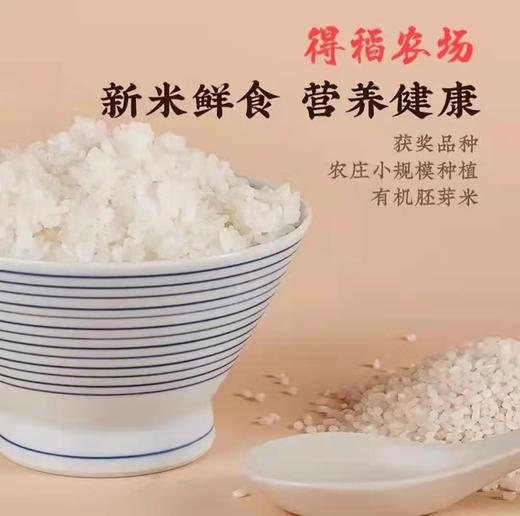 丨有机丨得稻有机大米10斤装 商品图1
