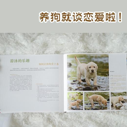 狗狗的幸福生活 凯特·克钦哈姆 著 宠物 商品图2