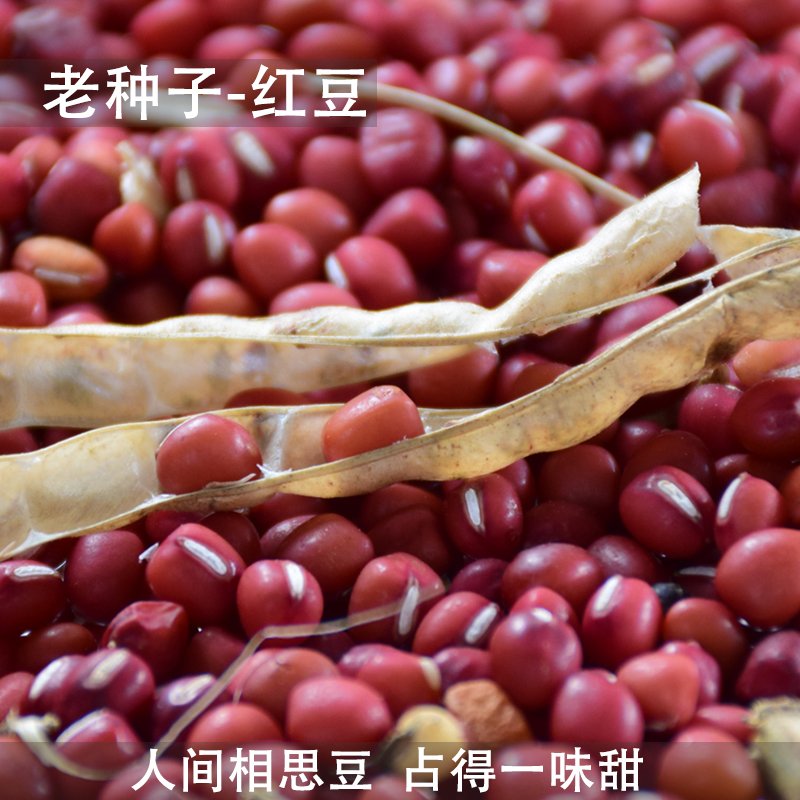 颗粒饱满 口感绵密 自然农法种植 红豆500g