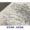 竖幅工笔山水白描底稿-陈少梅-《江南春》-多种白描尺寸可选-LQ36 商品缩略图4