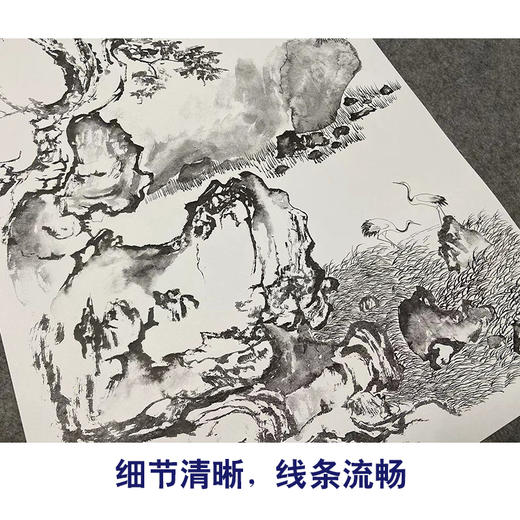 陈少梅竖幅工笔山水白描底稿-《松石双鹤图》-多种白描尺寸可选-LQ41 商品图4