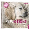 狗狗的幸福生活 凯特·克钦哈姆 著 宠物 商品缩略图1