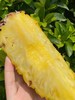树上熟 金钻凤梨 不仅是甜 更有十足的香爽风味 |百里食 商品缩略图4