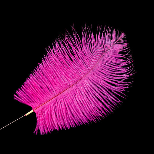 专业采耳工具彩色羽毛扫脸毛毛 商品图2