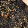 黑茶丨中茶 2022年 中茶记忆1958 580g 商品缩略图2