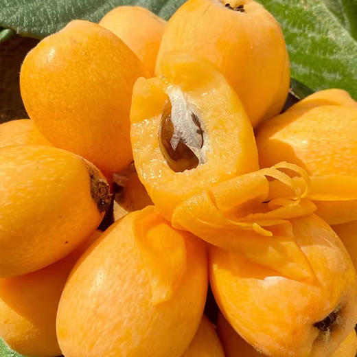 【云南蒙自枇杷】 皮薄肉厚 酸甜多汁 风味十足 高山现摘现发 3斤装 商品图5