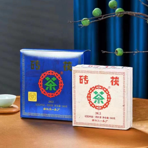 黑茶丨中茶 2022年 中茶记忆1958 580g 商品图1