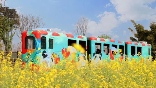 【龙泉驿欢乐田园】全年畅玩~丰富卡种~199元起年卡任选~玩转七大主题区、欢乐田园品牌全国第二座园区 商品图1