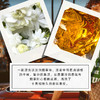 1LPY 古驰香水经典同名男士拉环淡香水Gucci木质香调持久清新香氛50ml/90ml 商品缩略图3