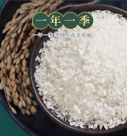 艾津稻园 艾津鲜米5kg家庭装新米 商品图2