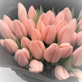 进口郁金香-水蜜桃