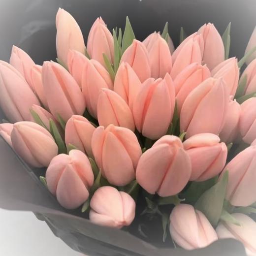 进口郁金香-水蜜桃 商品图0