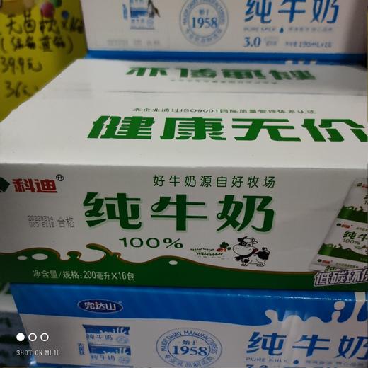 科迪 无菌枕纯牛奶 商品图0