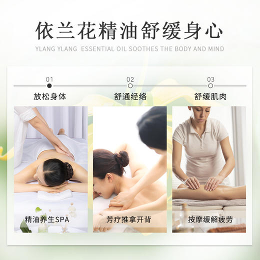 依兰花泰国皇室按摩精油全身通经络刮痧开背基础油 商品图3
