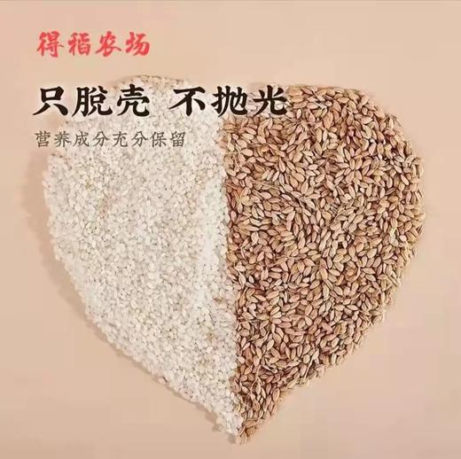 丨有机丨得稻有机大米10斤装 商品图2