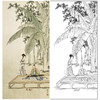 陈少梅竖幅工笔传统人物白描底稿-《蕉下听琴》-多种白描尺寸可选-CR20 商品缩略图0