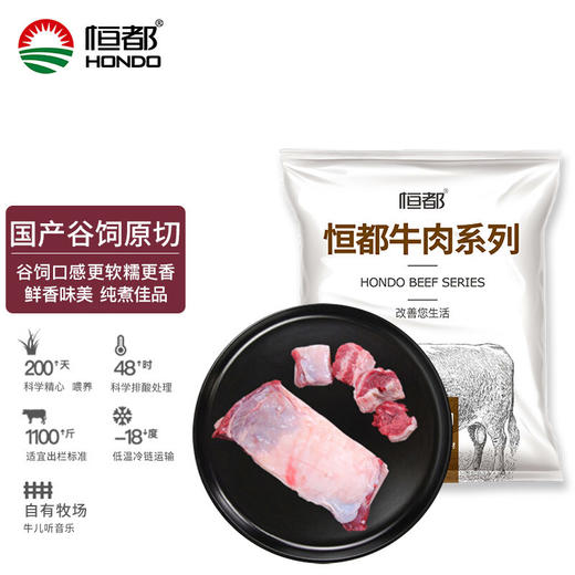 恒都 国产原切牛腩块 1kg/袋 冷冻 谷饲牛肉 商品图0