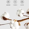 【秋冬换新 新疆直发】新疆长绒棉胎棉被多种规格尺寸 商品缩略图2