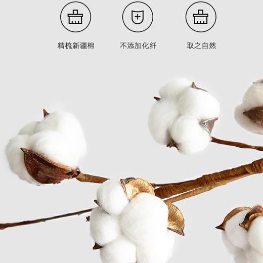 【秋冬换新 新疆直发】新疆长绒棉胎棉被多种规格尺寸 商品图2