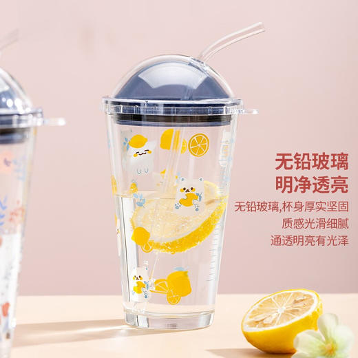 玻璃水杯带盖春夏季ins小清新印花送对象咖啡杯牛奶杯果汁饮料杯可爱吸管杯透明简约 可爱喵470ml单只礼盒装 商品图3