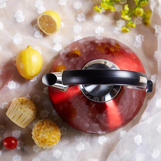 摩飞电热水壶 进口304不锈钢烧水壶MR7076A 1.5L电水壶 红色MR7076A 商品图7