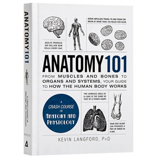 101系列 解剖学 英文原版 Anatomy 101 医学 全英文版 进口英语书籍 商品图2