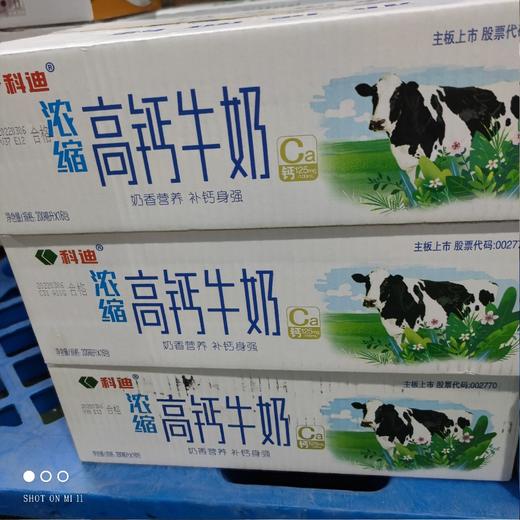 科迪 浓缩高钙牛奶 商品图0