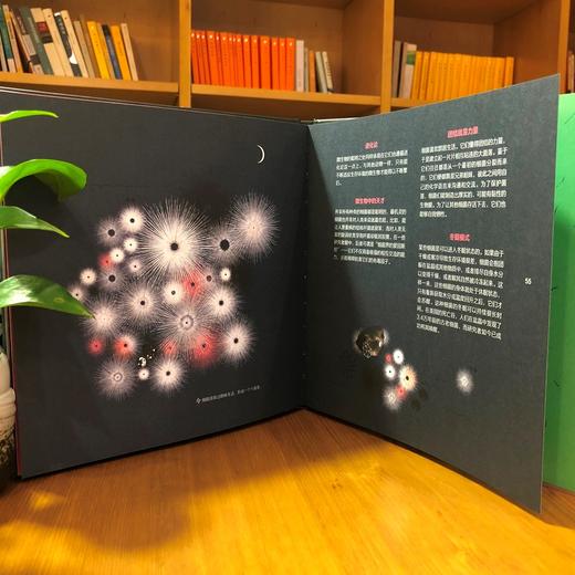 微生物的秘密战争 精装版 全彩 自然科普书籍 微生物的书 少儿百科全书 青少年课外读物科学知识自然探秘新知课外 商品图4