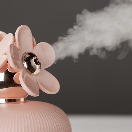 古姿热喷蒸脸器，每天蒸一蒸，皮肤那叫一个水润【GUZI】 商品图2