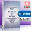 当下的力量 英文原版 The Power of Now 埃克哈特托利 Eckhart Tolle 英文版心理学励志成功畅销书籍 进口原版英语书 商品缩略图0