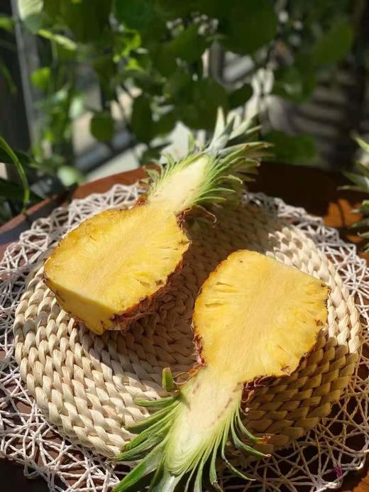 树上熟 金钻凤梨 不仅是甜 更有十足的香爽风味 |百里食 商品图1