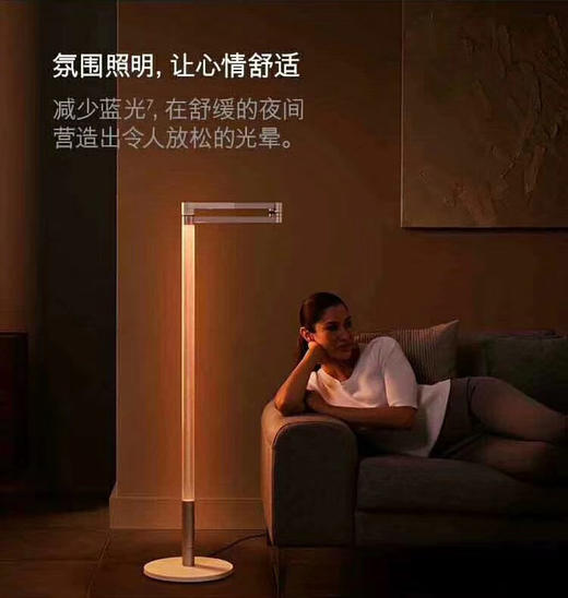 1F dyson戴森落地灯  CF06 商品图1