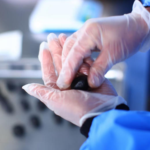 【九蒸九晒黑芝麻丸】历时至少18天九蒸九晒黑芝麻按古法制作 非烘干研磨粉 无添加任何廉价料 无任何添加剂 商品图7