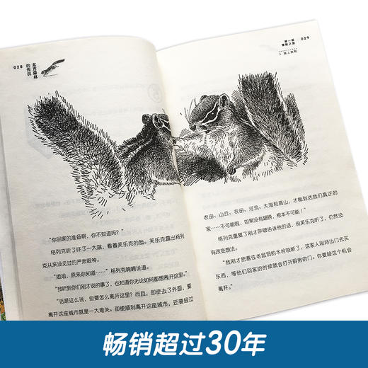 北方森林的传说   4年级共读书目正版现货速发|名师推荐|小学生课外阅读四年级 商品图1