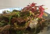 预售京西鲜野菜 商品缩略图4