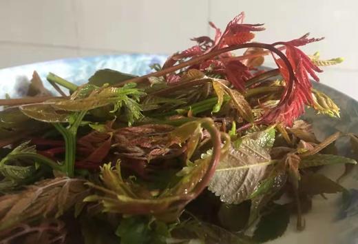 预售京西鲜野菜 商品图4