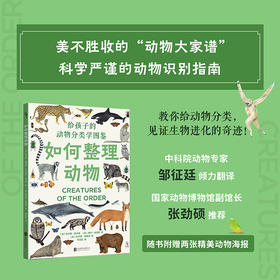 如何整理动物：给孩子的动物分类学图鉴【未小读L码】【9-12岁】【特惠】