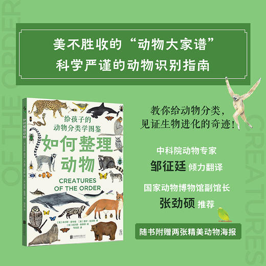 如何整理动物：给孩子的动物分类学图鉴【未小读L码】【9-12岁】 商品图0