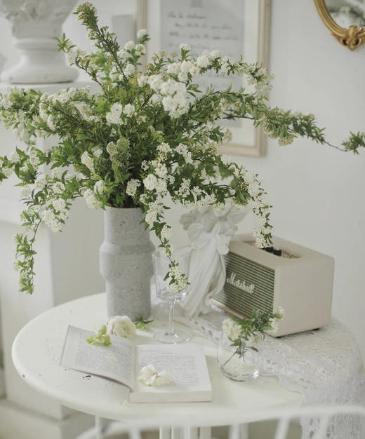 【春日仙子】小手球花 约1.2米 单瓣  若干枝/扎 商品图4