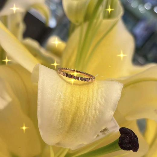 金麒麟 麒麟瑞祥 18K金戒指（圈口14） 商品图1