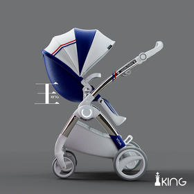 NordicBaby-viva婴儿推车双向高景观可坐可躺宝宝车  FS