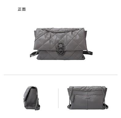 【直发】明治轻奢女包时尚菱格链条腋下包新款包羊皮斜挎单肩包流浪包大号 商品图1