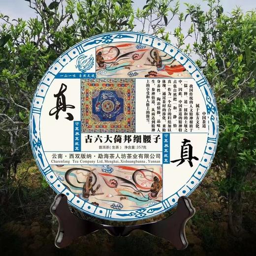 柔情化尽千般苦，和静怡真度岁华——2022年头春古树纯料，四个山头微小产区（和静怡真4款） 商品图3