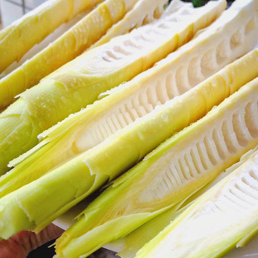 <有书甄选>福建雷竹鲜春笋|（现挖顺丰包邮） 商品图3